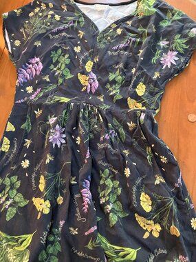 Field Day Dolman Dress